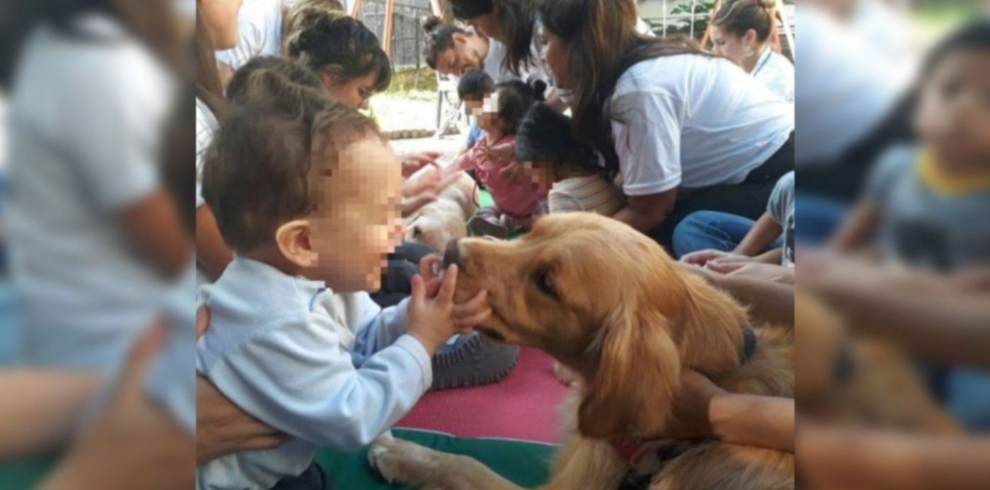 1555090462850.jpg?x=9&y=24&scaleY=1&ow=1500&width=1481&height=741&rotate=0&scaleX=1&oh=843&&cw=1920&ch=950