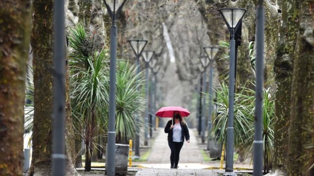 lluvias, rafagas de viento y calor: asi estara el clima en la plata durante toda la semana
