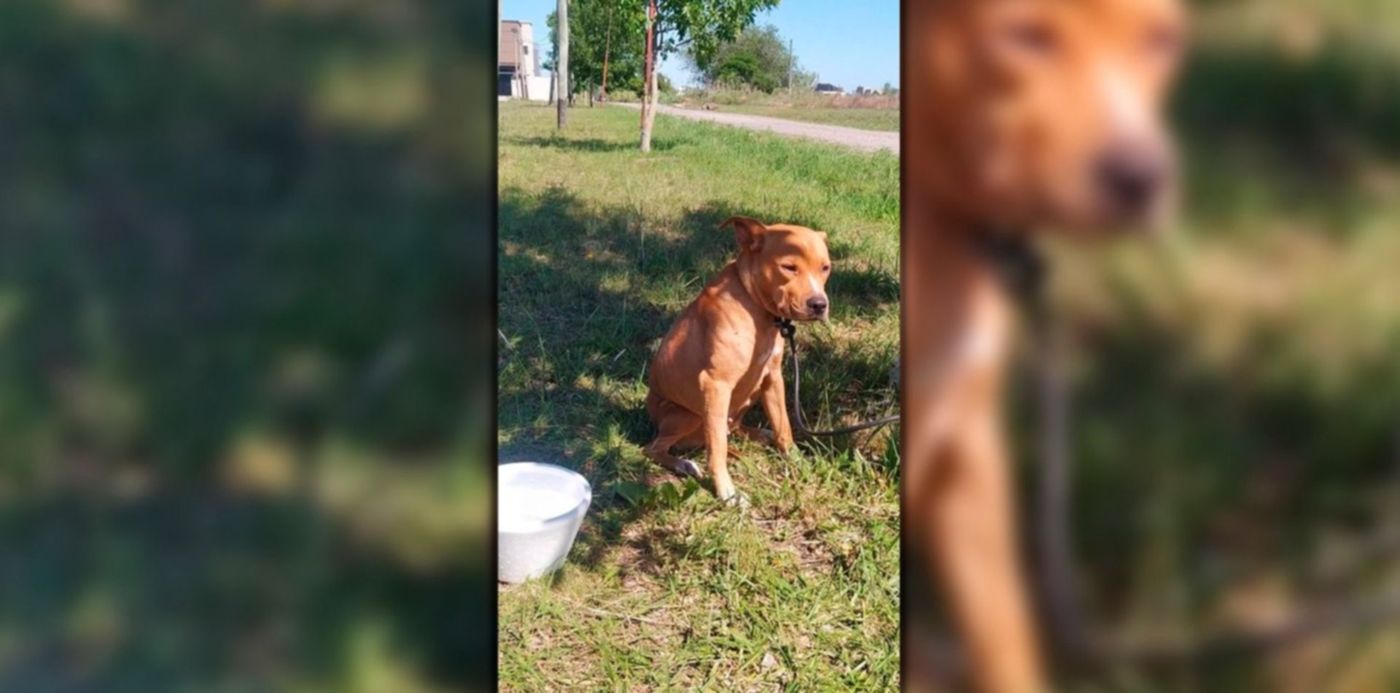 1675603645048.jpg?x=0&y=0&width=1500&height=750&rotate=0&scaleX=1&scaleY=1&ow=1500&oh=742&&cw=1920&ch=950