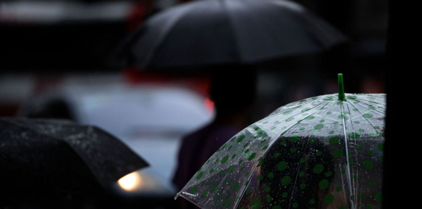 1687865651437.jpg?x=4&y=46&width=1498&height=749&rotate=0&scaleX=1&scaleY=1&ow=1500&oh=952&&cw=1920&ch=950