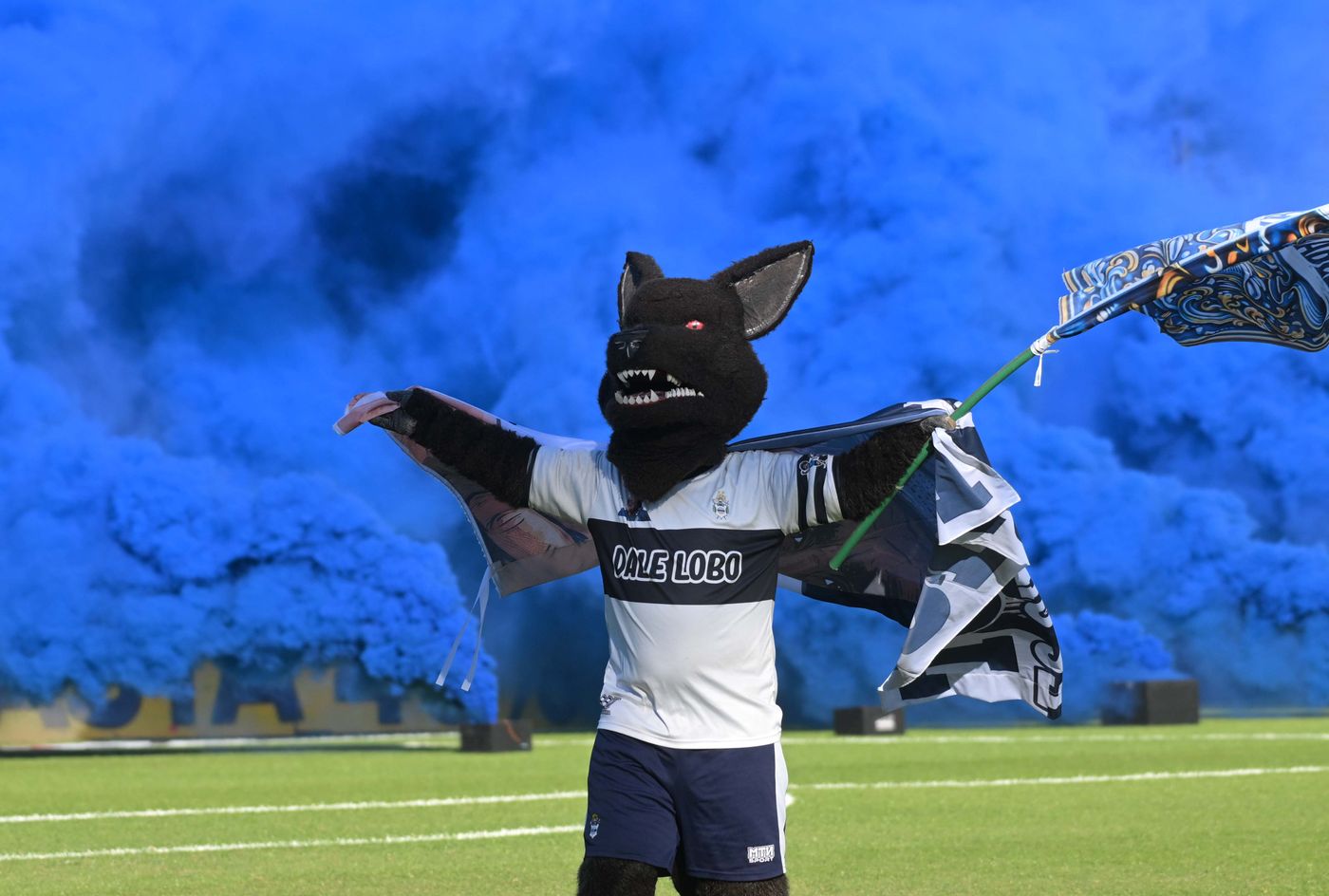 Gimnasia Argentinos Hinchada Bosque Lobo