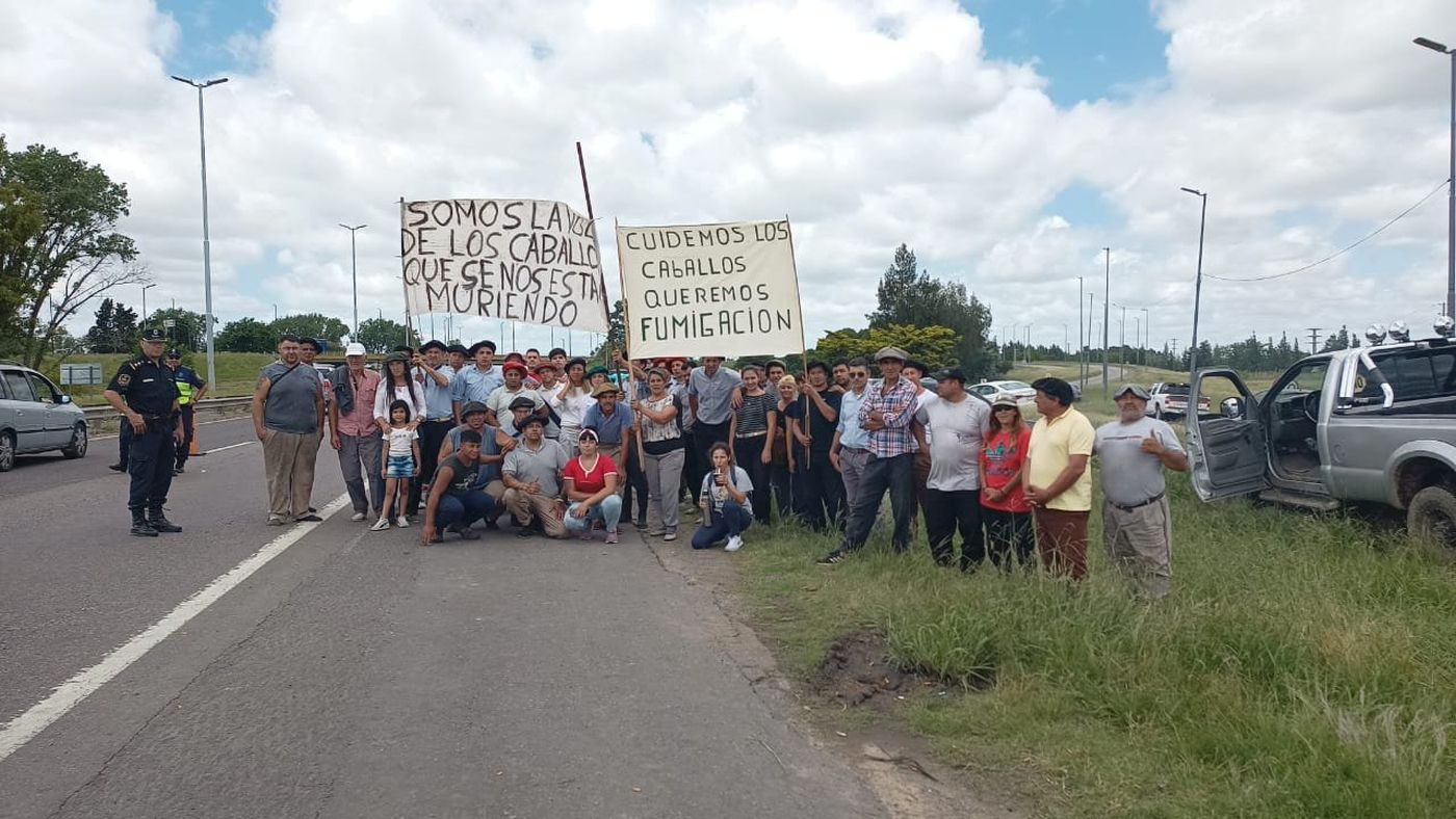 Corte en Ruta 2 por el virus equino.jpg