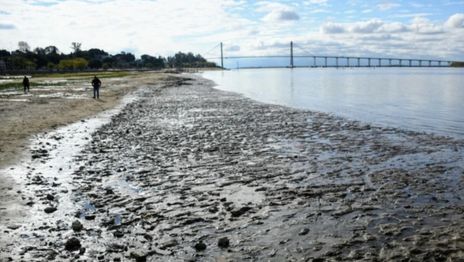 la-bajante-del-rio-parana___zvWBBOn-K_0x750__2 - Río Paraná bajante
