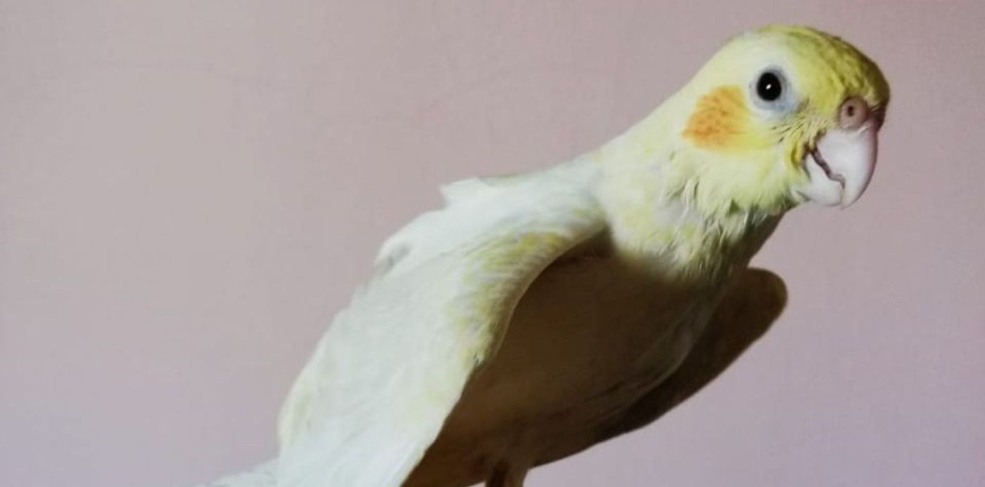 1576936486231.jpg?&cw=1920&ch=950