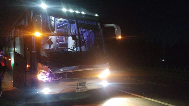 una mujer cruzaba caminando la ruta 2, la choco un colectivo de larga distancia y murio