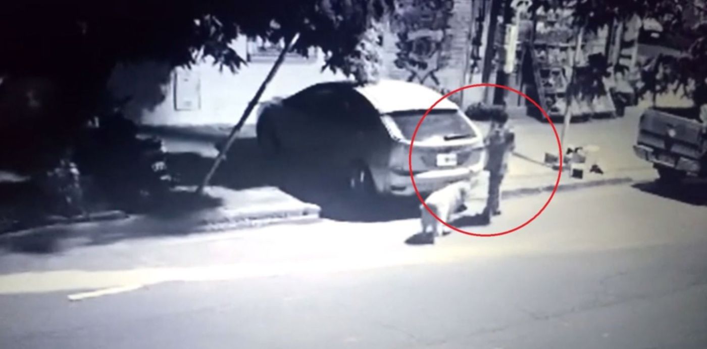 1615315618796.jpg?x=18&y=3&width=1476&height=738&rotate=0&scaleX=1&scaleY=1&ow=1500&oh=827&&cw=1920&ch=950