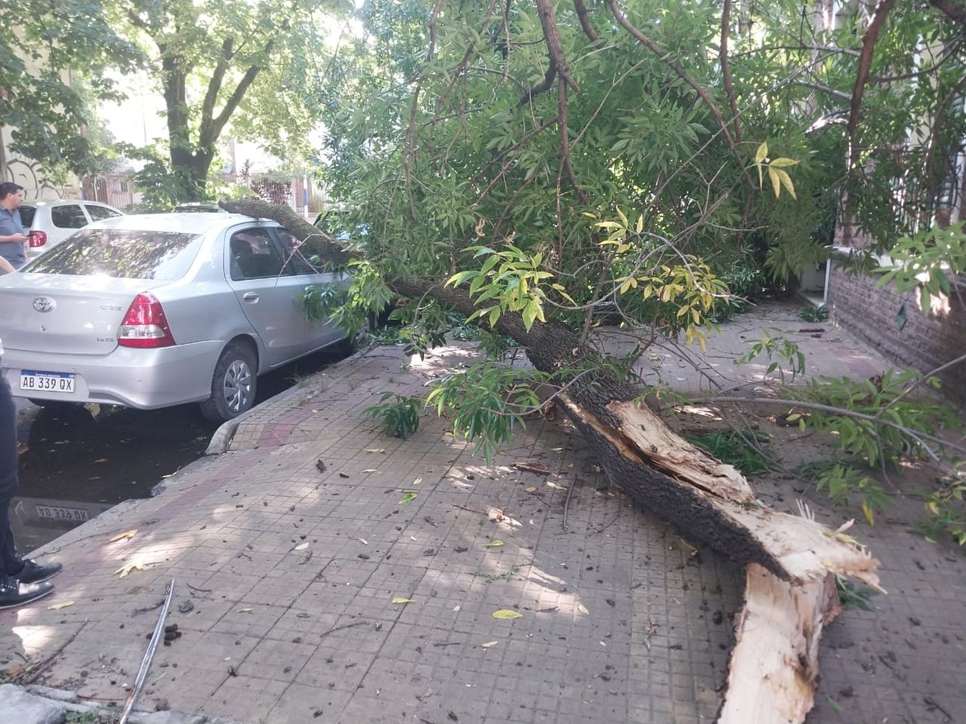 El episodio ocurrió en la calle 8, entre 67 y 68, en La Plata.