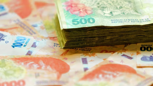 el gobierno redujo el tope de ingresos para acceder a asignaciones familiares