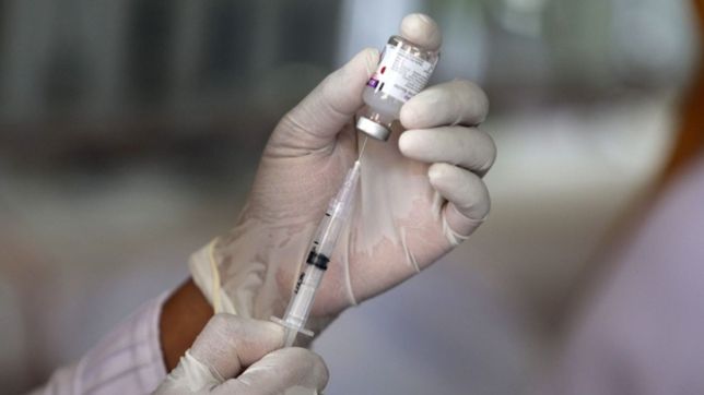 la unlp desarrollara y producira una vacuna nacional contra el coronavirus