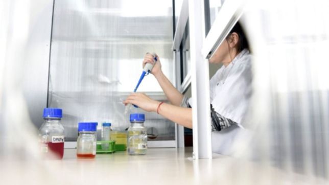 una investigadora de la unlp fue distinguida en un prestigioso congreso internacional