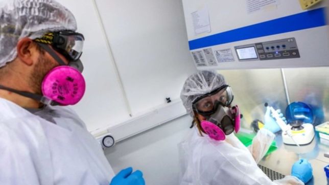 provincia y la unlp firmaron un convenio para desarrollar un kit de testeo de covid-19