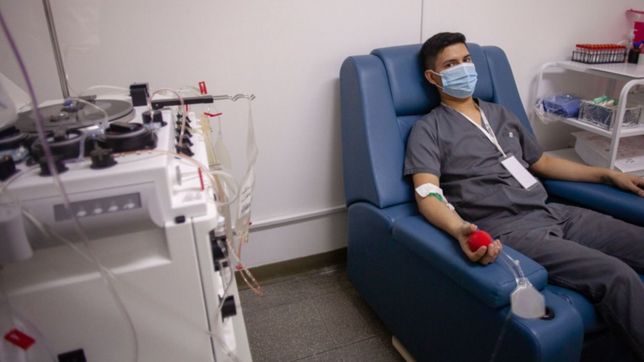 quieren que los platenses que donen sangre puedan viajar gratis en los micros de la plata