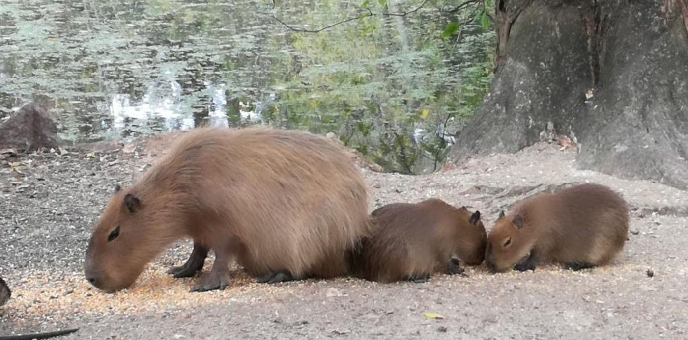 1551538705105.jpg?&cw=1920&ch=950