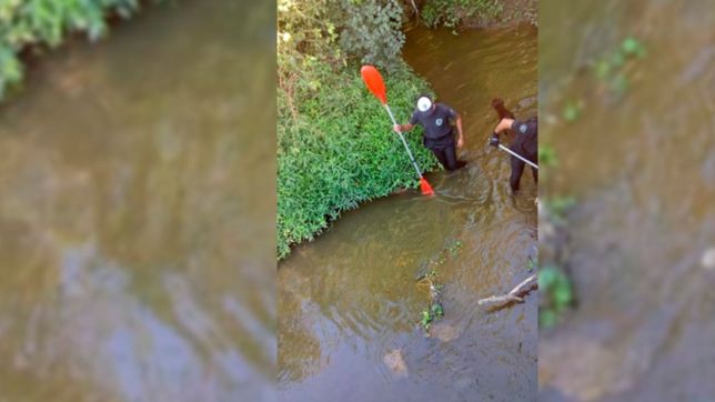 buscan en el parque pereyra a una abuela desaparecida hace tres meses