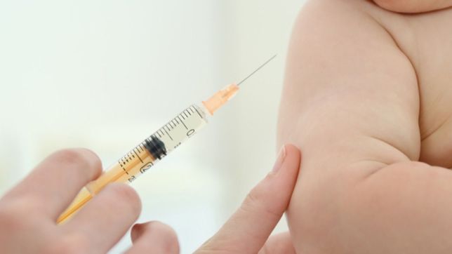 el ministerio de salud insto a la vacunacion antigripal en bebes de 6 meses y hasta 2 anos