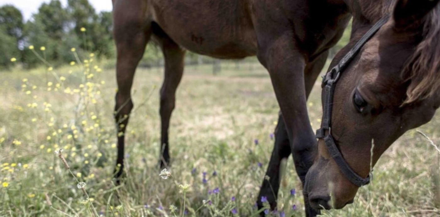 1579301031425.jpg?y=5&width=1310&rotate=0&scaleY=1&ow=1366&oh=765&x=52&height=655&scaleX=1&&cw=1920&ch=950