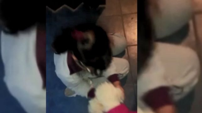 video: aparecio la perrita que le robaron a una nena de 8 anos y asi fue el reencuentro