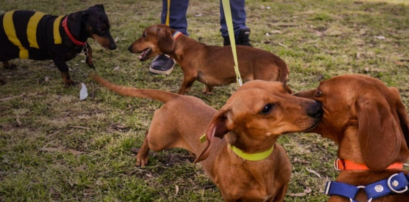 1538950453652.jpeg?rotate=0&scaleX=1&ow=1280&x=6&y=153&width=1269&height=634&scaleY=1&oh=853&&cw=1920&ch=950