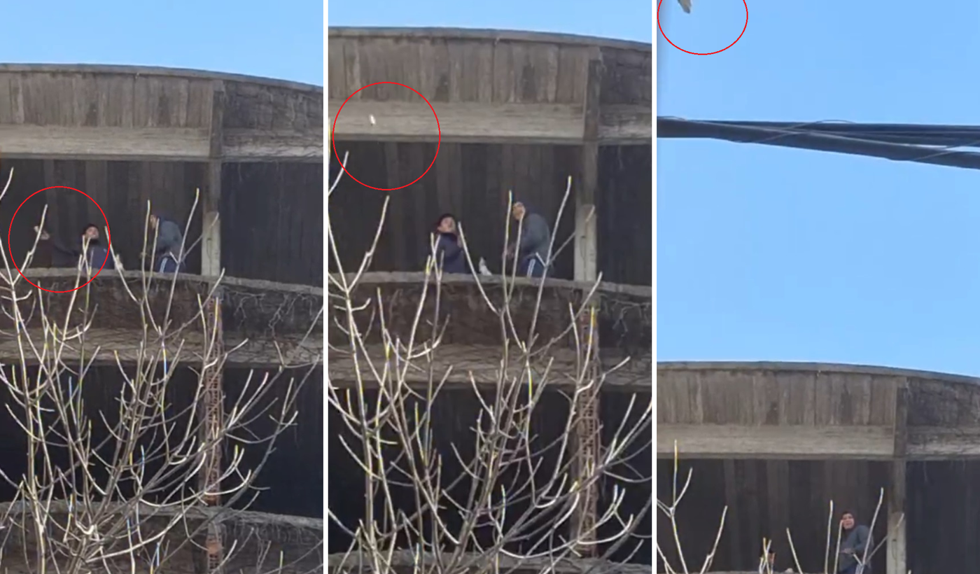 Ataque a Colegio.png