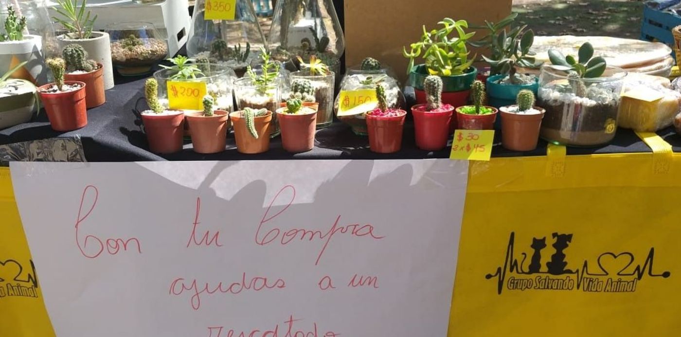 1554654182134.jpeg?x=33&y=6&width=1105&scaleX=1&scaleY=1&height=553&rotate=0&ow=1152&oh=560&&cw=1920&ch=950