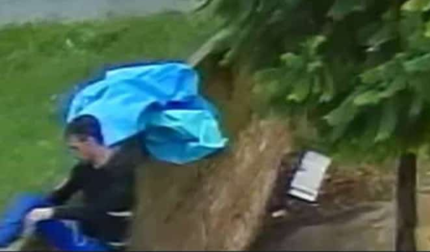 Robo de la pileta.png