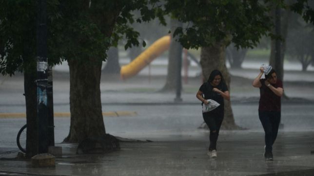 hay alerta amarillo por lluvias y asi seguira el clima en la plata