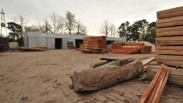 tension en una maderera de arturo segui: ataron a los empleados y cuando llego la policia se escaparon