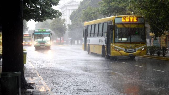 diluvio en la plata: ¿cuales son las zonas donde mas llovio hasta ahora?