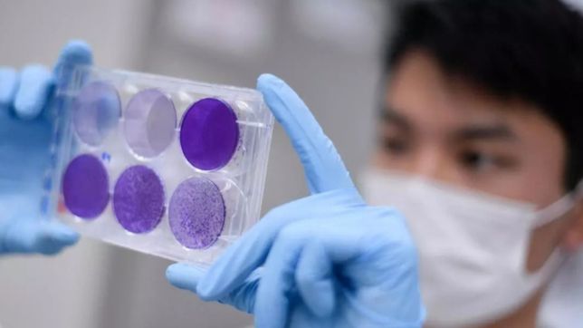 vacunas e inmunidad colectiva en 2021: asi terminaria la pandemia de coronavirus