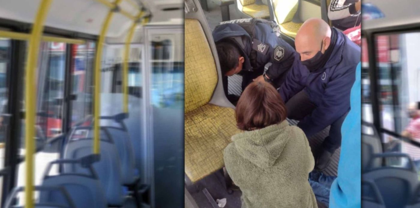 1657317590929.jpg?x=18&y=6&width=1464&height=733&rotate=0&scaleX=1&scaleY=1&ow=1500&oh=742&&cw=1920&ch=950