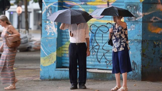 templado, con lluvias aisladas y calor, asi estara el clima este viernes en la plata