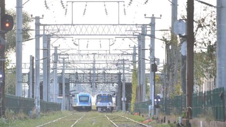 Conmoción en las vías del tren Roca: una mujer murió arrollada e investigan qué pasó