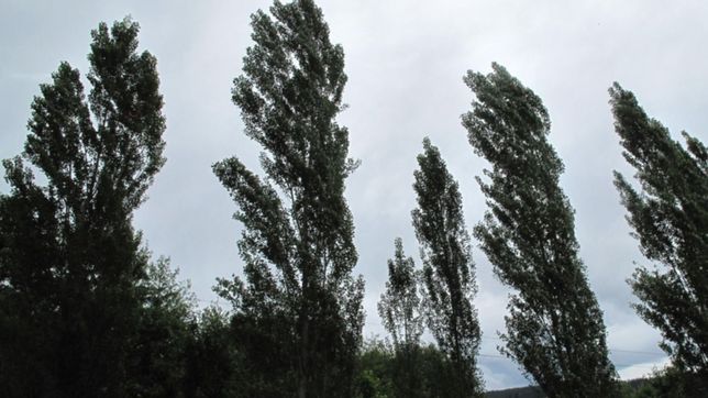 llega el ciclon extratropical a la costa bonaerense y hay alerta amarillo en la plata