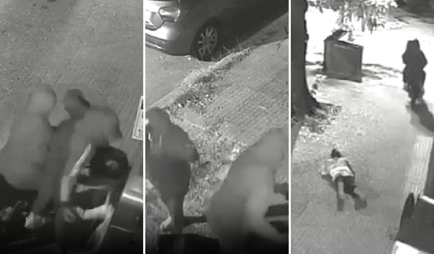 motochorros barrio norte portada