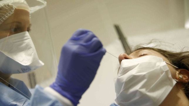 coronavirus en argentina: confirman 7.477 nuevos casos y 155 muertes