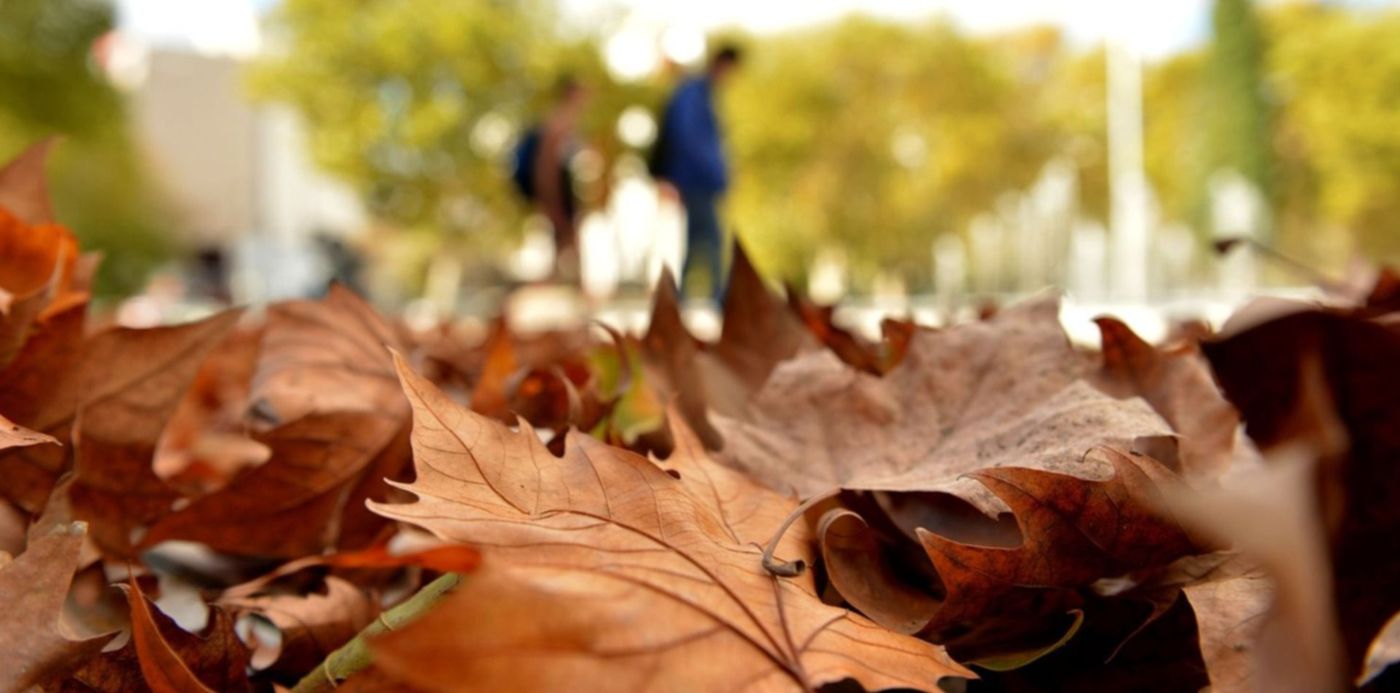 1557516590396.jpg?x=10&y=190&width=1473&height=736&rotate=0&scaleX=1&scaleY=1&ow=1500&oh=997&&cw=1920&ch=950