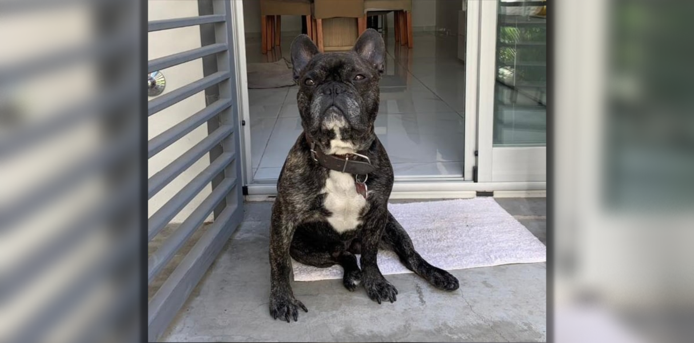 Diseño 1920 difuminado.png