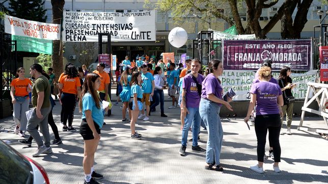 el mapa politico de la unlp: asi llegan las agrupaciones a una nueva eleccion universitaria