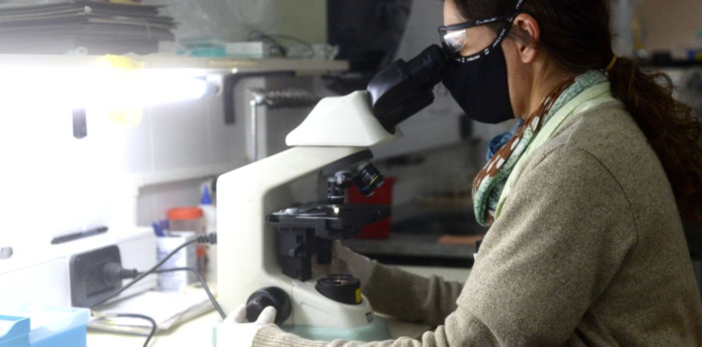 1591918596572.jpg?y=160&scaleX=1&ow=1500&oh=998&x=4&width=1489&height=745&rotate=0&scaleY=1&&cw=1920&ch=950