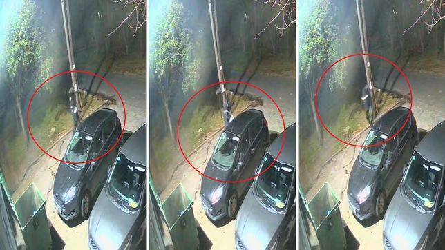 cenaban en una conocida parrilla de tolosa y les rompieron la ventanilla del auto para robarles