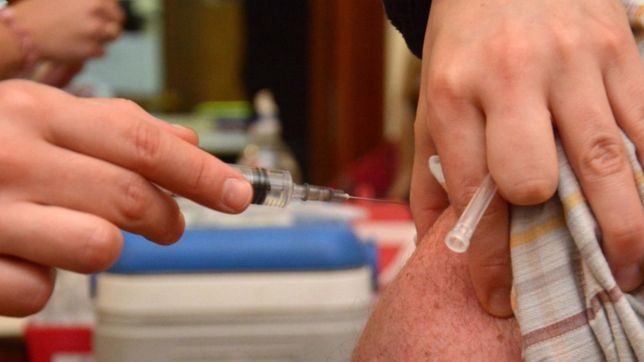 empezo la distribucion de las dosis: ¿quienes deben vacunarse contra la gripe?