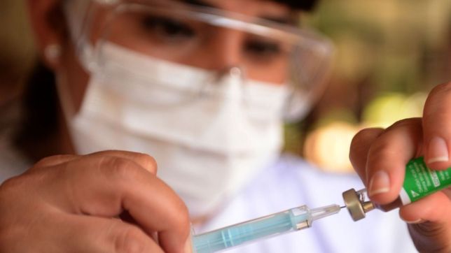 vizzotti encabeza la reunion con especialistas con el foco en la combinacion de dosis