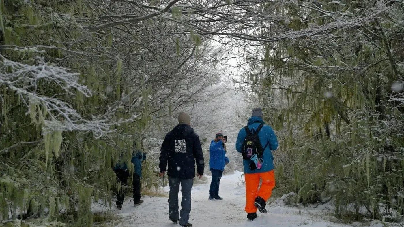 1688662026999.webp?x=0&y=64&width=1200&height=600&rotate=0&scaleX=1&scaleY=1&ow=1200&oh=675&&cw=1920&ch=950