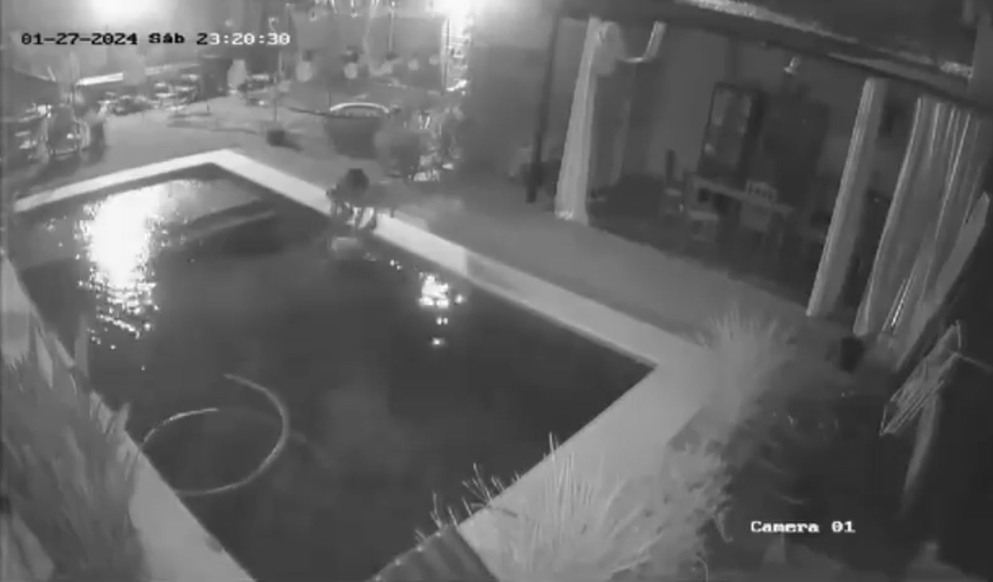 Video un ladr n ahog al perro de una familia durante un robo en