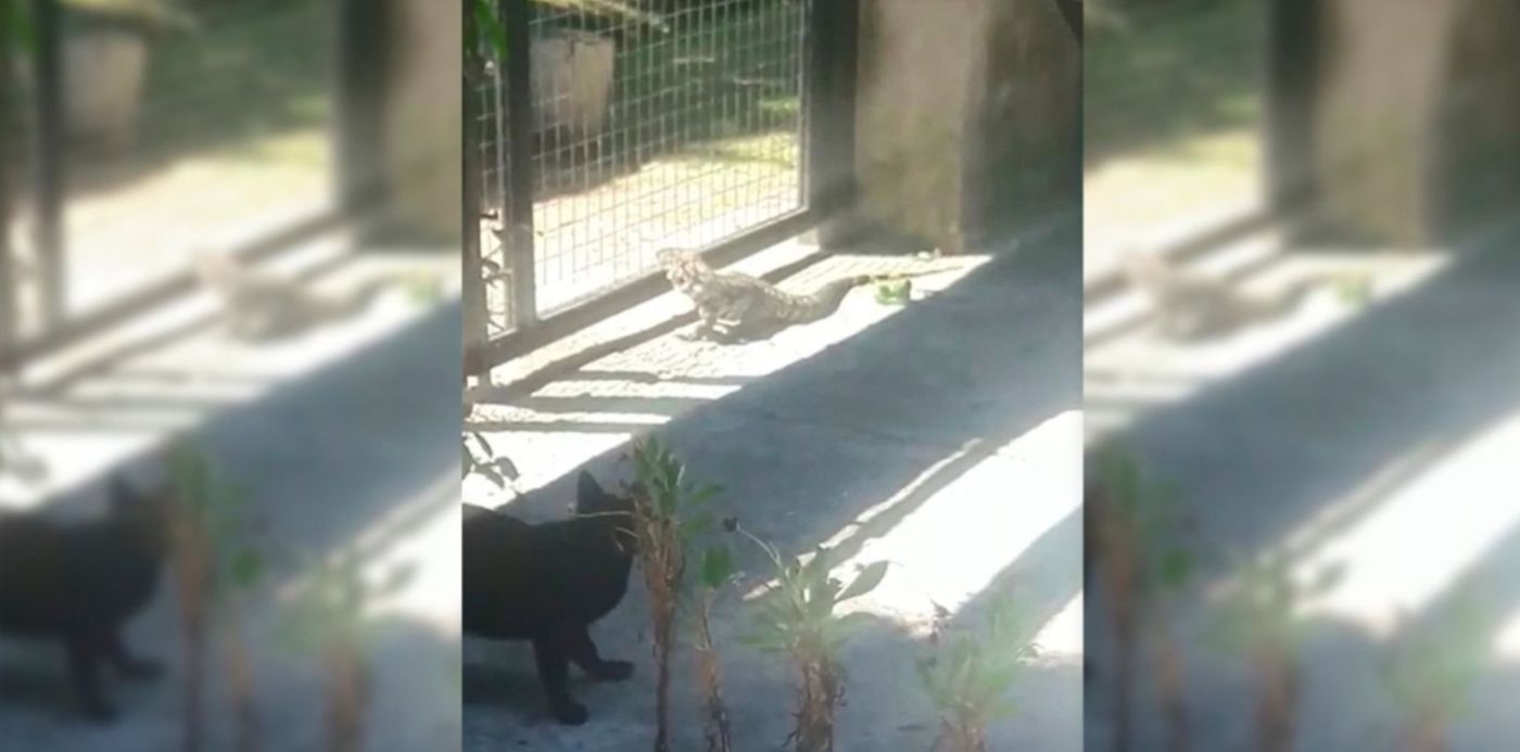 1544467342152.jpg?y=3&height=741&ow=1500&scaleX=1&scaleY=1&oh=843&x=7&width=1481&rotate=0&&cw=1920&ch=950