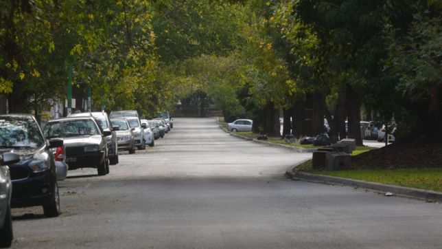 mas de 20 calles de la plata pasaran a tener mano unica desde mediados de mes