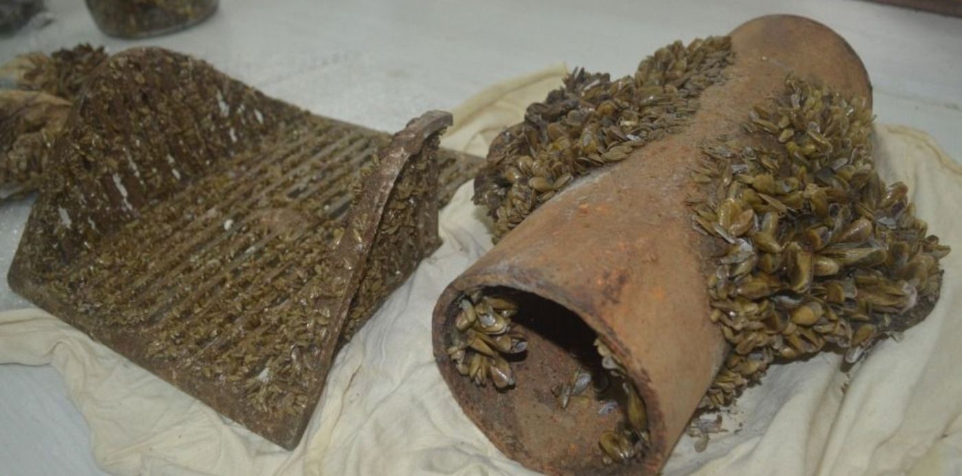 1594644445616.jpg?x=6&y=44&width=980&height=490&rotate=0&scaleX=1&scaleY=1&ow=995&oh=560&&cw=1920&ch=950