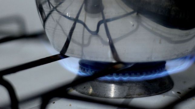 analizan extender el plazo para completar el formulario por los subsidios de luz y gas