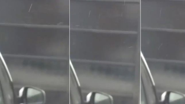 video: cayo aguanieve en un barrio de la plata y un vecino lo filmo