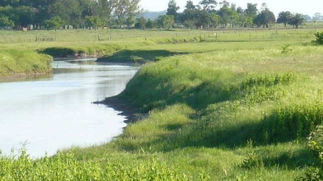 limitaran las construcciones en una zona de la plata para proteger un arroyo